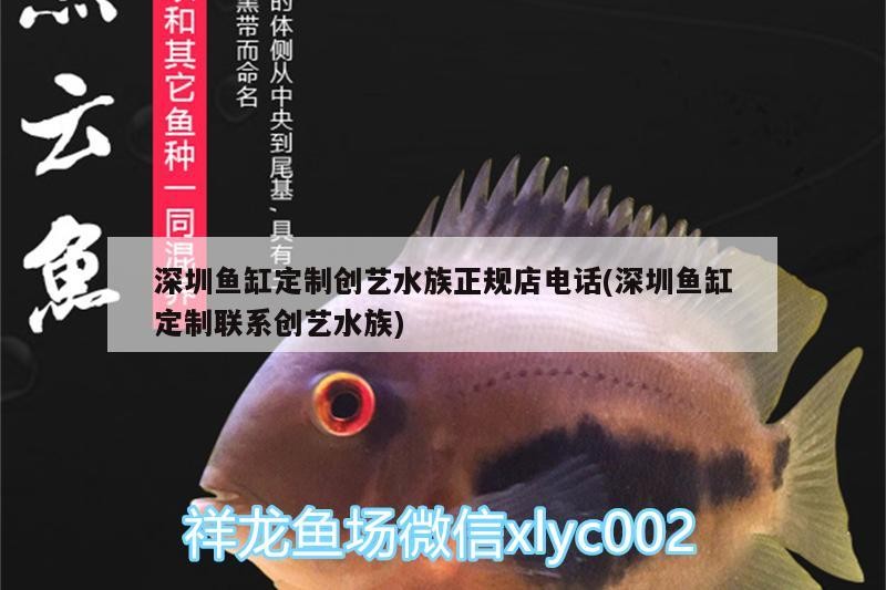 深圳魚缸定制創藝水族正規店電話(深圳魚缸定制聯系創藝水族)