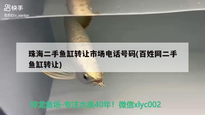 珠海二手魚缸轉(zhuǎn)讓市場(chǎng)電話號(hào)碼(百姓網(wǎng)二手魚缸轉(zhuǎn)讓)