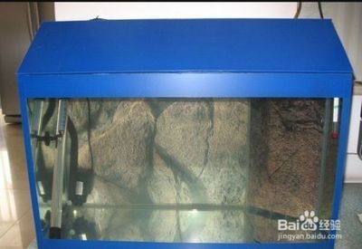 玻璃如何做魚缸：玻璃制作魚缸的基本步驟
