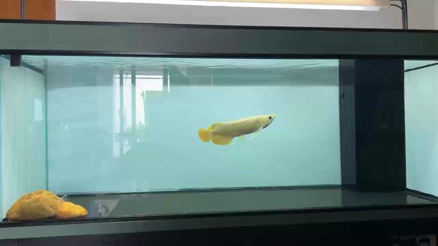 終于到家了！