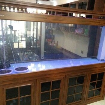 成品魚缸怎么樣清洗：如何清洗魚缸？