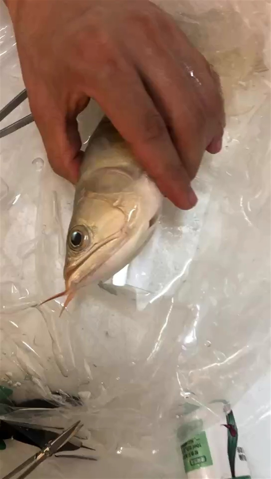 做個小美容，準備回家！