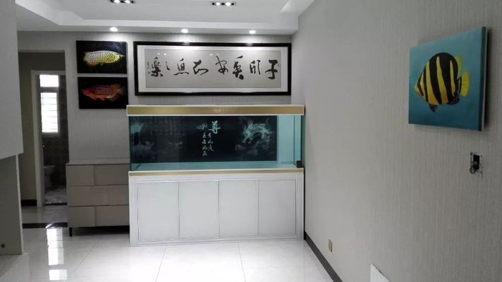 魚缸勤換水對魚好不好（魚缸每天加點新水好嗎）