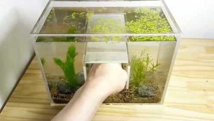 長(zhǎng)沙市岳麓區(qū)安居樂(lè)園博雅水族店（長(zhǎng)沙市岳麓區(qū)安居樂(lè)園博雅水族店電話(huà)）