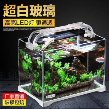 玻璃魚缸是什么時候發明的:《玻璃魚缸》小說《玻璃魚缸》小說《玻璃魚缸》 魚缸百科 第1張 玻璃魚缸是什么時候發明的:《玻璃魚缸》小說《玻璃魚缸》小說《玻璃魚缸》 玻璃魚缸是什么時候發明的:《玻璃魚缸》小說《玻璃魚缸》小說《玻璃魚缸》 魚缸百科 第1張