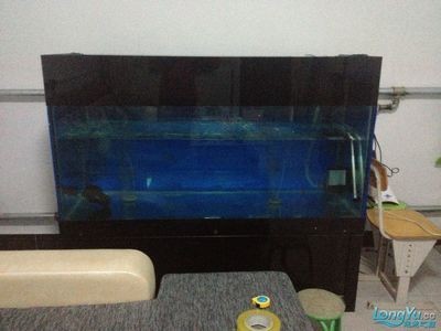 超大的魚缸：超大魚缸的保養與清洗需要注意以下幾點：超大魚缸的保養與清洗 超大的魚缸：超大魚缸的保養與清洗需要注意以下幾點：超大魚缸的保養與清洗 魚缸百科 第3張