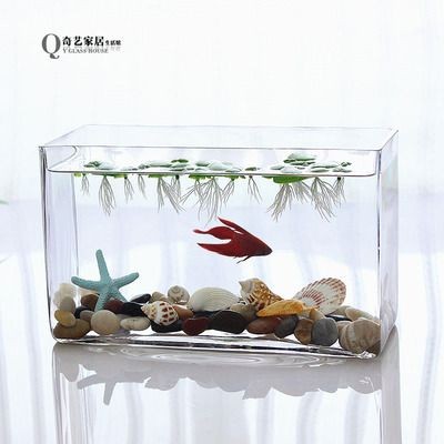 斗魚缸：如何自制一個斗魚缸