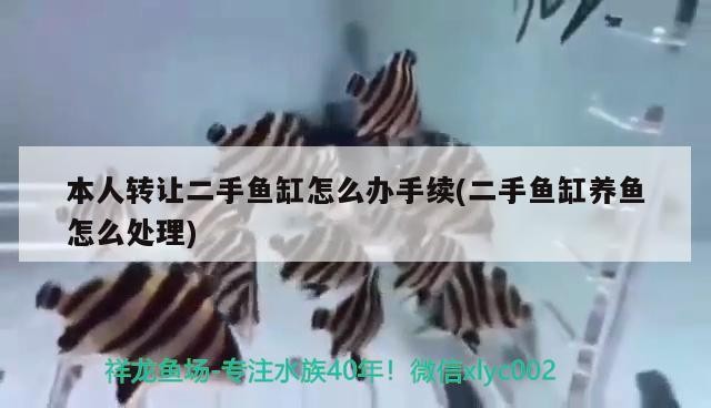 本人轉(zhuǎn)讓二手魚缸怎么辦手續(xù)(二手魚缸養(yǎng)魚怎么處理)