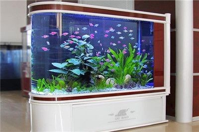 半圓型魚缸風(fēng)水好不好呢：半圓形魚缸在風(fēng)水上具有一定優(yōu)勢