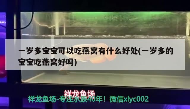 通化市東昌區(qū)大眾水族館（通化大眾浴池） 通化市東昌區(qū)大眾水族館（通化大眾浴池） 全國(guó)水族館企業(yè)名錄 第1張