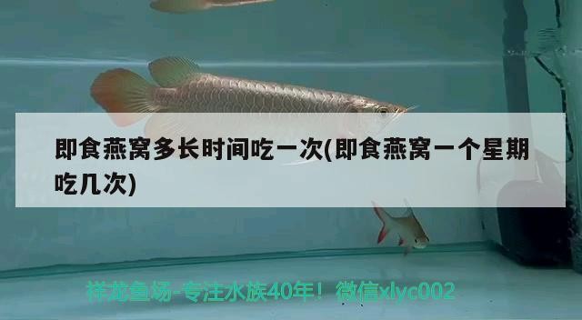 通化市東昌區(qū)大眾水族館（通化大眾浴池） 通化市東昌區(qū)大眾水族館（通化大眾浴池） 全國(guó)水族館企業(yè)名錄 第2張