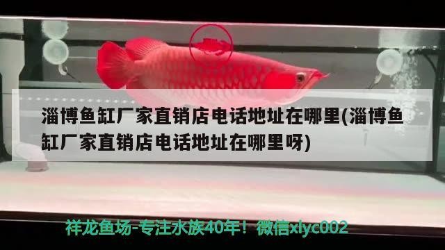紅龍魚用黃燈烤有用嗎 淄博魚缸廠家直銷店電話地址在哪里(淄博魚缸廠家直銷店電話地址在哪里呀) 森森魚缸 淄博魚缸廠家直銷店電話地址在哪里(淄博魚缸廠家直銷店電話地址在哪里呀) 淄博魚缸廠家直銷店電話地址在哪里(淄博魚缸廠家直銷店電話地址在哪里呀) 森森魚缸