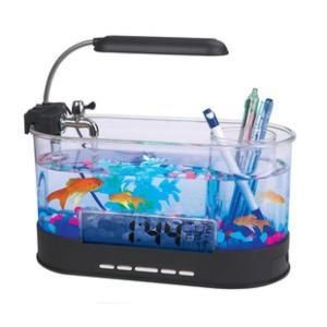 虎魚缸設計指南虎魚缸設計指南虎魚缸設計指南虎魚缸設計指南：如何根據魚缸大小選擇虎魚品種 虎魚缸設計指南虎魚缸設計指南虎魚缸設計指南虎魚缸設計指南：如何根據魚缸大小選擇虎魚品種 虎魚百科 第1張