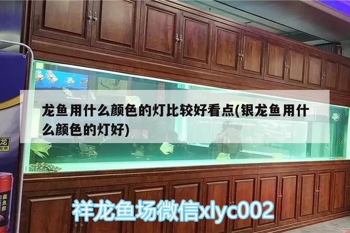 除了上述食物，還有哪些對龍魚外寄有防治作用，龍魚外寄生蟲治療劑推薦,外寄生蟲治療劑推薦