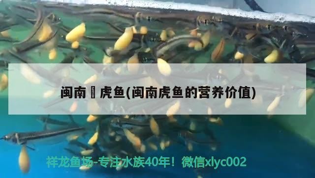 魚缸過濾器選購指南:自制魚缸過濾器魚缸上置過濾器對于養魚愛好者的必備知識 閩南蟳虎魚(閩南虎魚的營養價值) 虎魚百科 閩南蟳虎魚(閩南虎魚的營養價值) 閩南蟳虎魚(閩南虎魚的營養價值) 虎魚百科