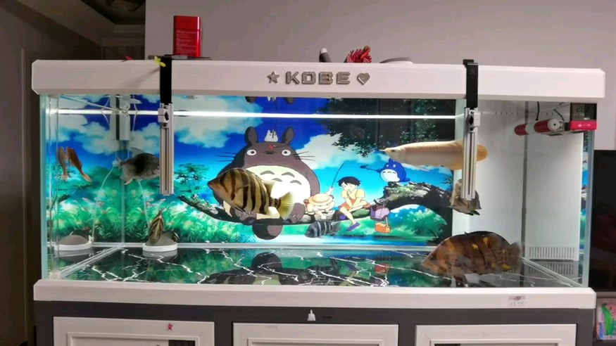 悠然自得 悠然自得 龍魚論壇
