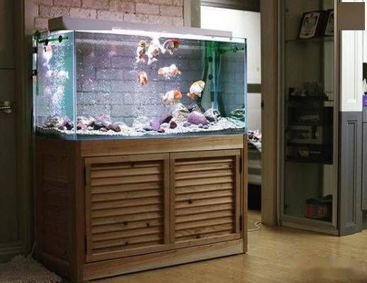 玻璃魚缸哪種好：如何選擇適合的玻璃魚缸