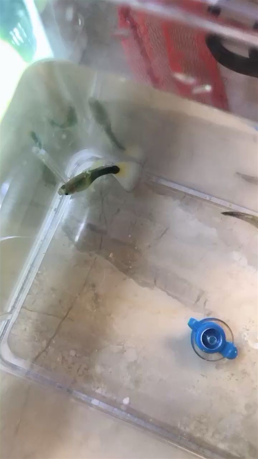 幫忙看看有沒有被賣家忽悠？