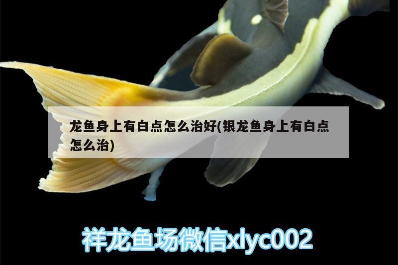 <strong><mark>宜昌</mark></strong>水族店和<strong><mark>宜昌</mark></strong>有水族館和<strong><mark>宜昌</mark></strong>有水族館嗎，<strong><mark>宜昌</mark></strong>州水族館