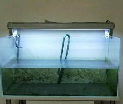 不用了的魚缸怎么處理好：不用的魚缸可以根據其狀況和用途進行不同的處理方式