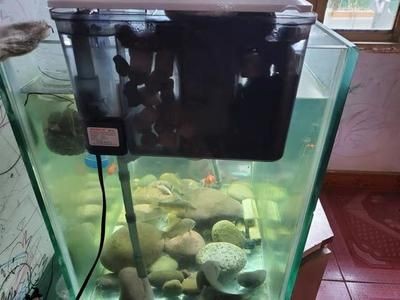 大型魚缸蓋需要什么配件才能用：大型魚缸蓋所需配件