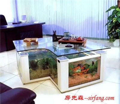 玻璃小魚缸養什么魚好：哪些魚適合在玻璃小魚缸中飼養？