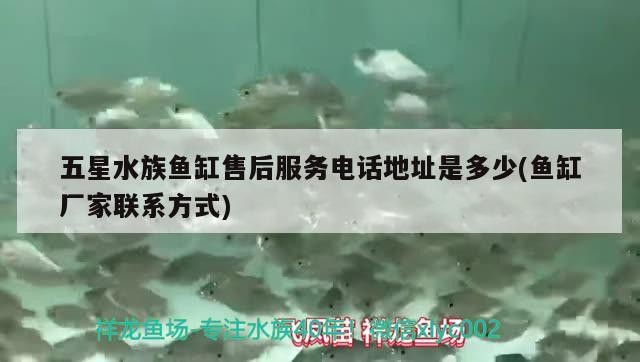 五星水族魚缸售后服務電話地址是多少(魚缸廠家聯系方式)