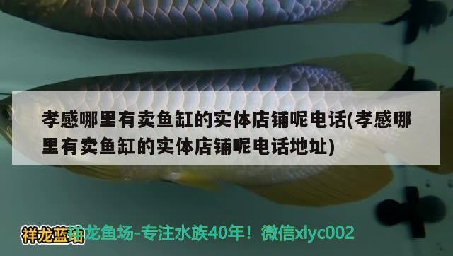 孝感哪里有賣魚缸的實體店鋪呢電話(孝感哪里有賣魚缸的實體店鋪呢電話地址)