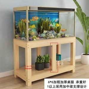 定做家用魚缸：如何選擇合適的魚缸材料