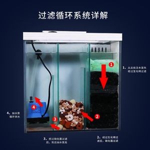 定做家用魚缸：如何選擇合適的魚缸材料