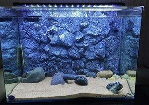 大型海水魚缸設計圖:大型海水魚缸設計 魚缸百科 第3張 大型海水魚缸設計圖:大型海水魚缸設計 大型海水魚缸設計圖:大型海水魚缸設計 魚缸百科 第3張