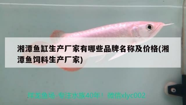 湘潭魚缸生產廠家有哪些品牌名稱及價格(湘潭魚飼料生產廠家) 湘潭魚缸生產廠家有哪些品牌名稱及價格(湘潭魚飼料生產廠家) 豬鼻龜百科