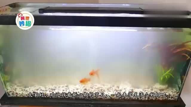 森森過濾器301（森森過濾器301安裝視頻）