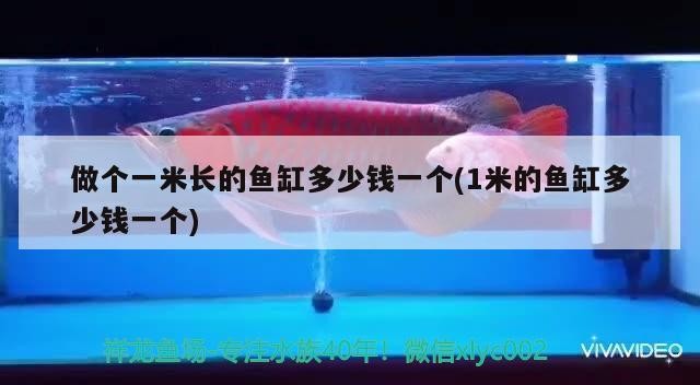 做個一米長的魚缸多少錢一個(1米的魚缸多少錢一個)