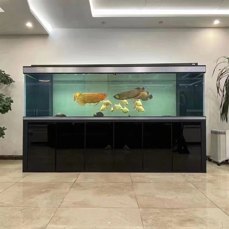 ?彩鰈龍魚缸頂流 ?彩鰈龍魚缸頂流 龍魚論壇 第4張