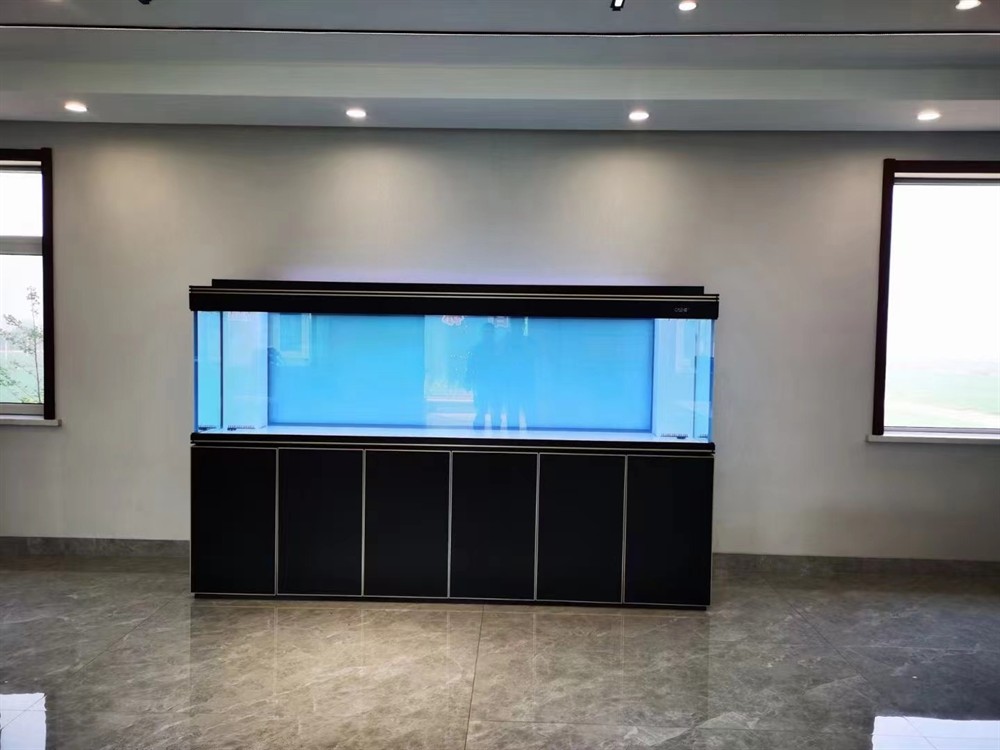 ?彩鰈龍魚缸頂流 ?彩鰈龍魚缸頂流 龍魚論壇 第6張