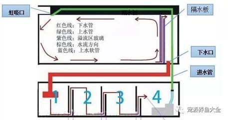 太陽能自動喂魚機（太陽能魚飼料自動投喂機）