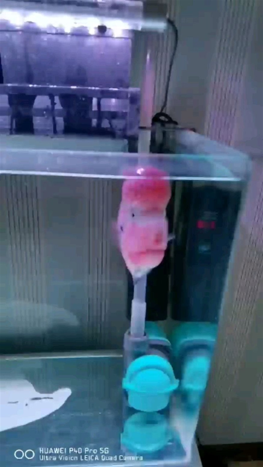 貌似痊愈了
