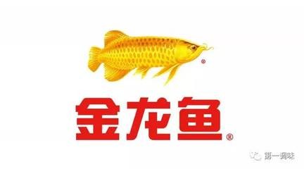 紅龍魚品牌排行榜前十（紅龍魚品牌排行榜前十名）