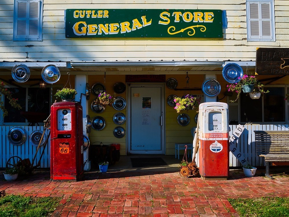 金龍魚眼上有白點(diǎn)是怎么回事圖片的簡單介紹