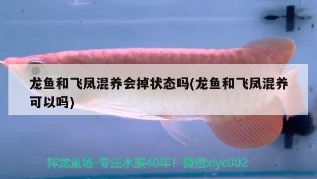 渭南哪里賣魚缸便宜實惠渭南魚缸批發市場渭南魚缸批發市場，渭南哪里賣魚缸便宜實惠