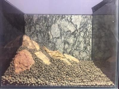 擦洗魚缸的技巧視頻