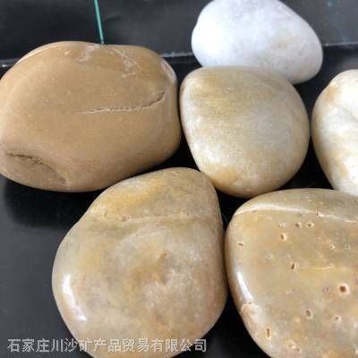川沙哪里有賣魚缸的地方：上海賣魚缸的地方