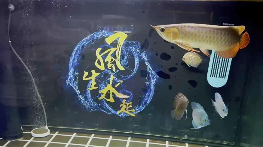 到家第6天。狀態剛剛的。背上不知道為啥撞了。