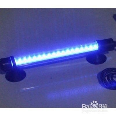 大魚缸怎樣清洗缸底：高錳酸鉀在魚缸中的應用
