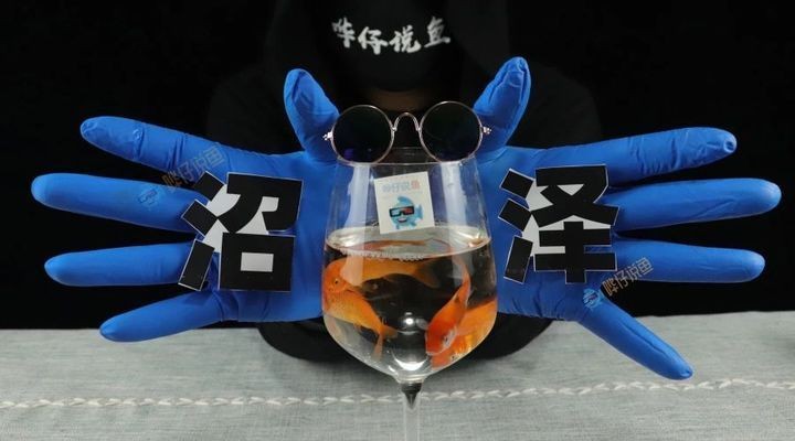 大水缸做魚缸沼澤過濾 大水缸做魚缸沼澤過濾 魚缸百科 第1張