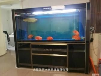 大型魚(yú)缸如何消毒清洗：大型魚(yú)缸如何消毒清洗方法和注意事項(xiàng)和注意事項(xiàng)