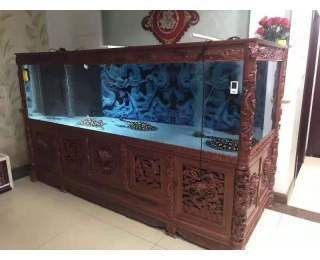 大型魚缸搬運注意事項有哪些：大型魚缸在搬運過程中需要注意哪些事項？