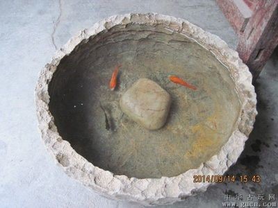 半圓型魚缸：半圓型魚缸價格為5.8元，半圓形魚缸價格僅供參考