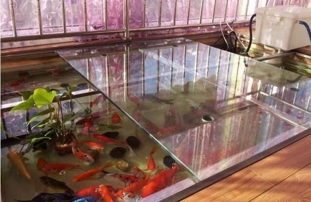 除了玻璃魚缸還有什么魚缸好用：塑料魚缸和玻璃魚缸哪個好